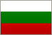 bg flag